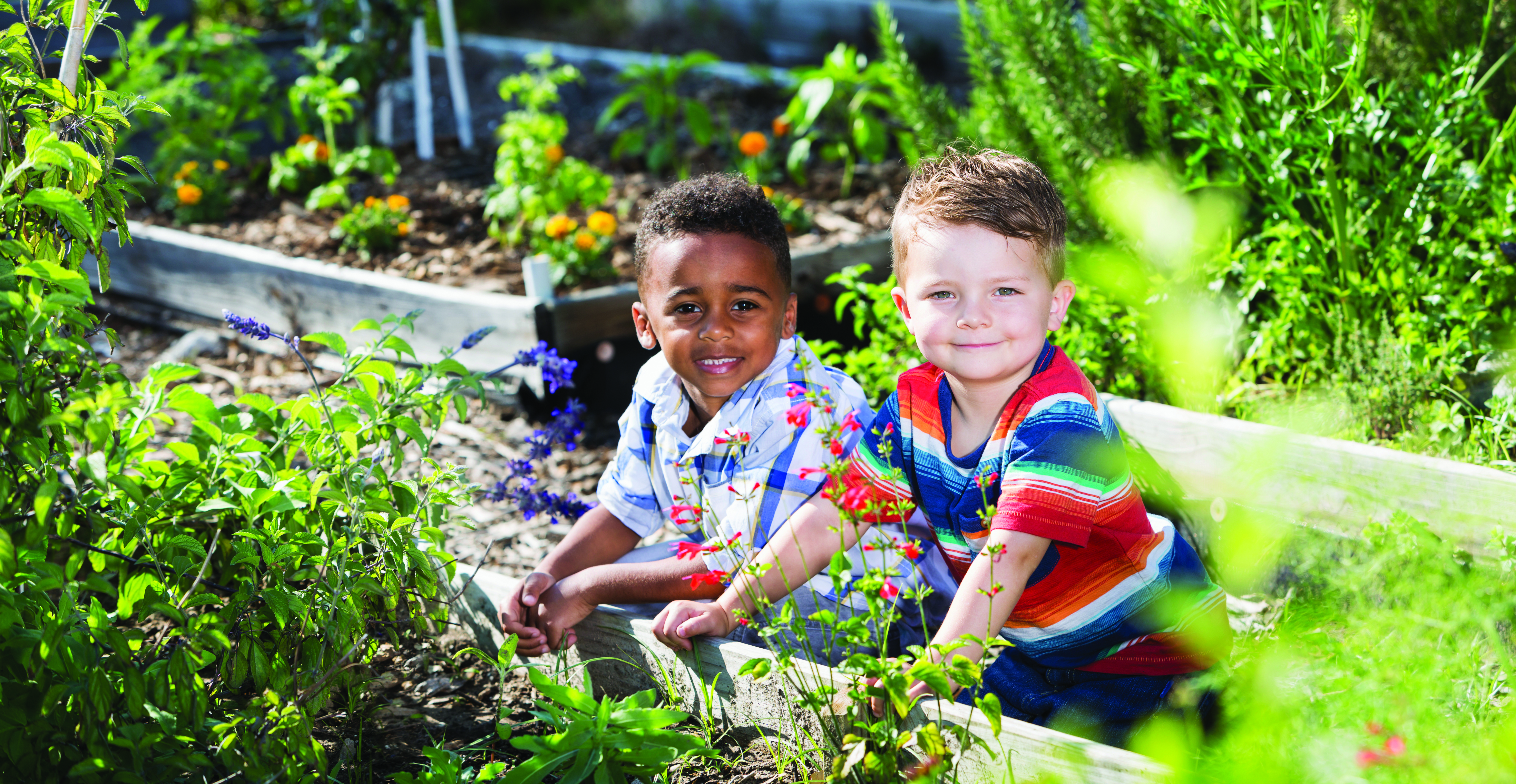 boys take part in compost messy play